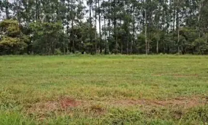 Terreno à venda, 600 m² por R$ 50.000,00 - Santa Bárbara Resort Residence - Águas de Santa Bárbara/SP