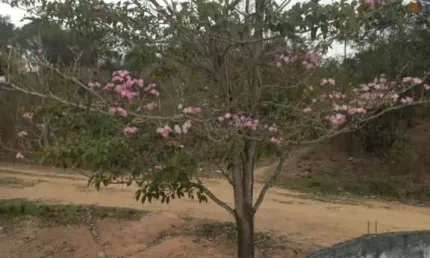 Casa para Venda em Itaboraí, Morada do Sol I (Itambi), 2 dormitórios, 1 banheiro