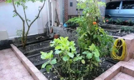 Casa para venda em rio de janeiro, campo grande, 3 dormitórios, 1 suíte, 1 banheiro, 4 vagas