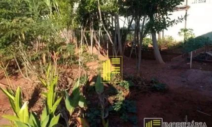 Terreno Residencial para locação, Vila Ercília, São José do Rio Preto - TE0025.