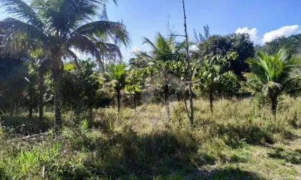 Área à venda, 15160 m² por R$ 600.000,00 - Itapeba - Maricá/RJ