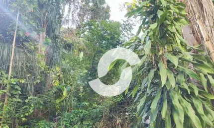 Terreno à venda, 500 m² por R$ 1.950.000,00 - Santa Rosa - Niterói/RJ