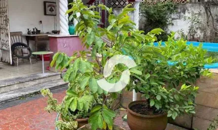Casa com 5 quartos à venda na Rua Doutor Martins Tôrres, 65, Santa Rosa, Niterói