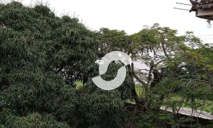 Casa à venda, 286 m² por R$ 399.000.000,00 - São José do Imbassaí - Maricá/RJ