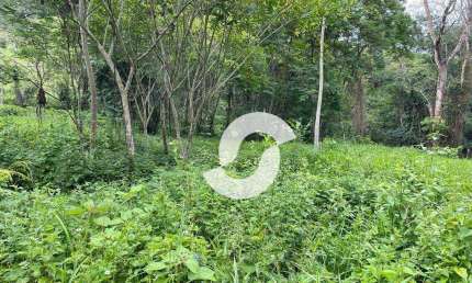 Terreno à venda, 1000 m² por R$ 120.000,00 - Muriqui - Niterói/RJ