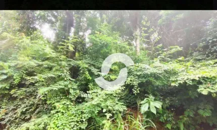 Terreno à venda, 450 m² por R$ 145.000,00 - Engenho do Mato - Niterói/RJ