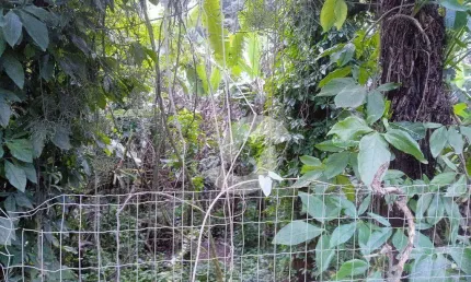 Terreno à venda, 765 m² por R$ 300.000,00 - Engenho do Mato - Niterói/RJ