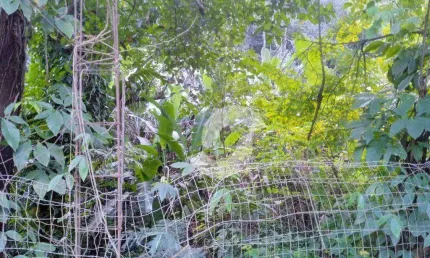 Terreno à venda, 832 m² por r$ 300.000,00 - engenho do mato - niterói/rj