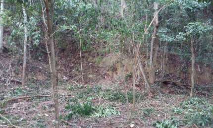 Terreno à venda, 750 m² por R$ 207.000,00 - Serra Grande - Niterói/RJ