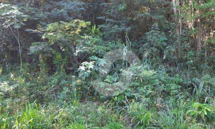 Terreno à venda, 450 m² por R$ 229.500,00 - Engenho do Mato - Niterói/RJ