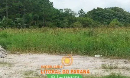 Área com 3 excelentes terrenos 1.965m² localizado de frente para a  rodovia