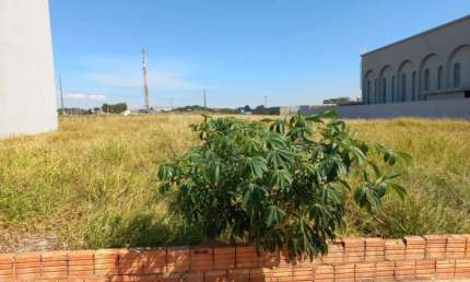 Terreno à venda no Jardim Pinheiro, São Manuel , 1766 m2 por R$ 845.000