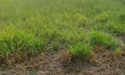 Terreno à venda na Rua Luiz Levorato, Jardim Marabá, Bauru, 450 m2 por R$ 250.000