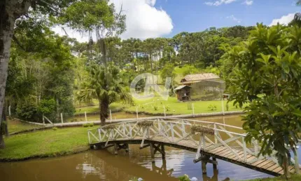 Chácara / sítio à venda no Centro, Campo Alegre 