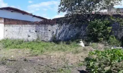 Terreno à venda, 320 m² por R$ 180.000,00 - Valentina de Figueiredo - João Pessoa/PB