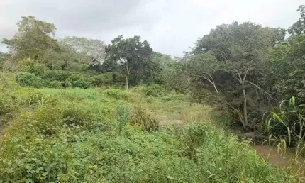 Terreno à venda, 20000 m² por R$ 350.000 - Rural - Itapororoca/PB