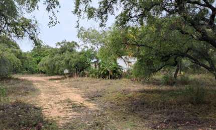 Terreno à venda, 11701 m² por R$ 250.000,00 - Planalto Nossa Senhora da Conceição - Conde/PB
