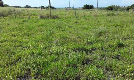 Terreno à venda, 1980 m² por R$ 80.000,00 - Enseada de Jacumã - Conde/PB