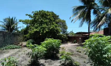 Terreno à venda, 400 m² por R$ 100.000,00 - Barra de Gramame - João Pessoa/PB