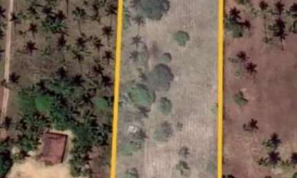 Terreno à venda, 12.000 m² por R$ 210.000 - Jardim Primavera - Conde/PB