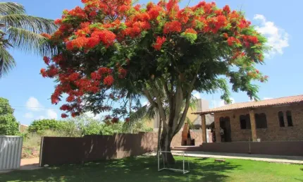 Casa com 3 dormitórios à venda, 460 m² por R$ 890.000,00 - Praia de Carapibus - Conde/PB