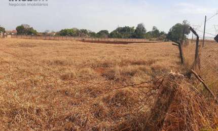 Terreno, 7 m² - venda por R$ 1.350.000,00 ou aluguel por R$ 2.500,00/mês - Dom Pedro I - Londrina/PR
