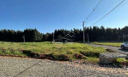Terreno à venda no Colônia Dona LuÍza, Ponta Grossa 