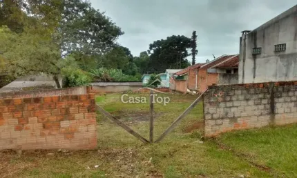 Terreno comercial para alugar no Olarias, Ponta Grossa 