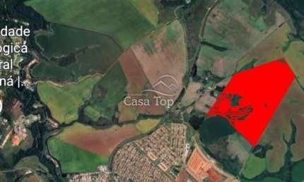 Terreno comercial à venda no Neves, Ponta Grossa 