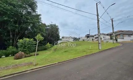 Terreno à venda Condomínio Vale dos Vinhedos - Colônia Dona Luiza