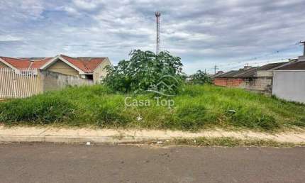 Terreno à venda no Cará-cará, Ponta Grossa 