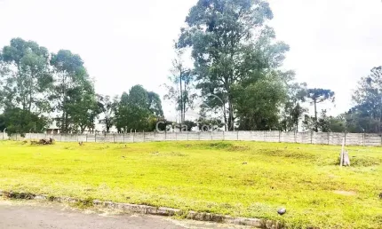 Terreno à venda no Jardim Carvalho, Ponta Grossa 