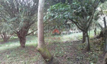 Chácara com 2 dormitórios à venda, 8000 m² por R$ 900.000,00 - Putim - São José dos Campos/SP