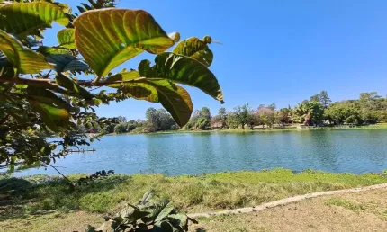 Chácara com 2 dormitórios à venda, 17400 m² por R$ 2.700.000 - Chácara Letônia - Americana/SP
