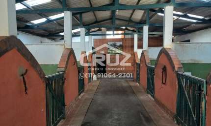 Barracão / Galpão / Depósito com 4 salas à venda na Estrada Santa Inês, Santa Inês, Caieiras