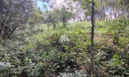 Vendo chácara em itatiaiuçu de 1000m² excelente localização.