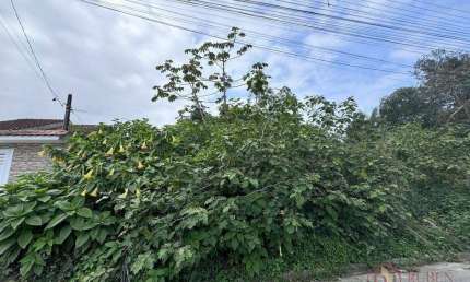 Terreno à venda, 510 m² por R$ 550.000,00 - Maitinga - Bertioga/SP