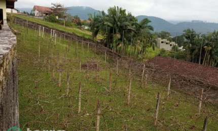 Terreno à venda na Vila Nova, Ascurra  por R$ 262.315