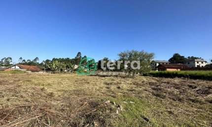 Terreno à venda no Araponguinhas, Timbó , 662 m2 por R$ 268.000