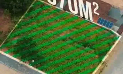 Terreno à venda no araponguinhas, timbó  por r$ 320.000