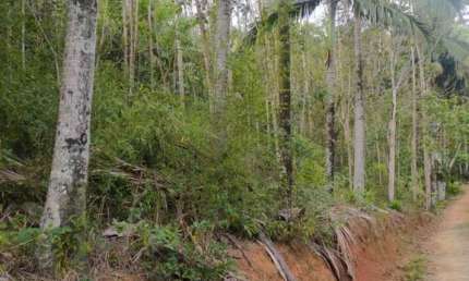 Chácara / sítio à venda no Encano do Norte, Indaial  por R$ 280.000