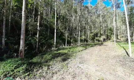 Chácara / sítio à venda no Estrada das Areias, Indaial  por R$ 430.000