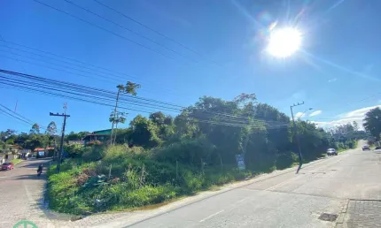 Terreno à venda no rio morto, indaial  por r$ 1.250.000