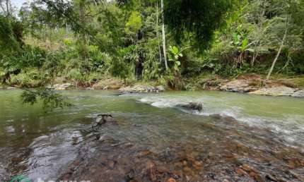 Chácara / sítio à venda na Zona Rural, Apiúna  por R$ 800.000