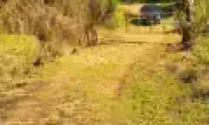 Lindos lotes em condomínio fechado para você realizar o seu sonho no interior