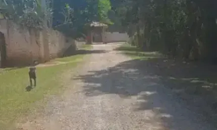 Terreno à venda no Rio de Una, Ibiúna 