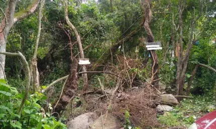 Terreno à venda na Servidão Niberto Borges, Pântano do Sul, Florianópolis