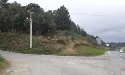 Terreno comercial à venda na Rod Br-277, 1, Jardim Emília, Campo Largo