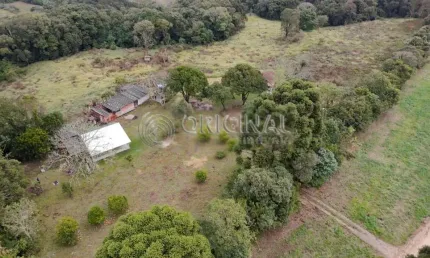 Chácara / sítio à venda na R Paulo Wszolek, 12, Tindiquera, Araucária