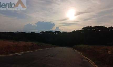 Terreno em Loteamento em Jardim das Palmeiras, Campo Largo/PR
